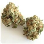 Шишки "White Widow" (Белая вдова) Гидропоника - Бошка VHQ в Спасске-Дальнем Шишки "White Widow" (Белая вдова) Гидропоника - Бошка VHQ в Спасске-Дальнем