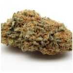 Шишки AK47 (Гидропоника, Бошка) VHQ в Спасске-Дальнем Шишки AK47 (Гидропоника, Бошка) VHQ в Спасске-Дальнем